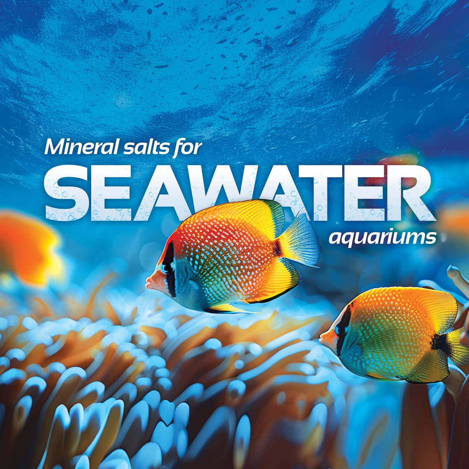 Macco mineral salts for seawater aquariums